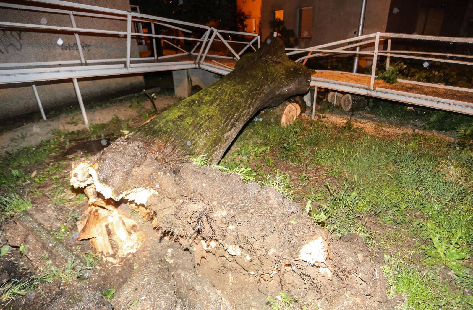 Zagreb: Vjetar srušio stablo na invalidski prilaz stambene zgrade