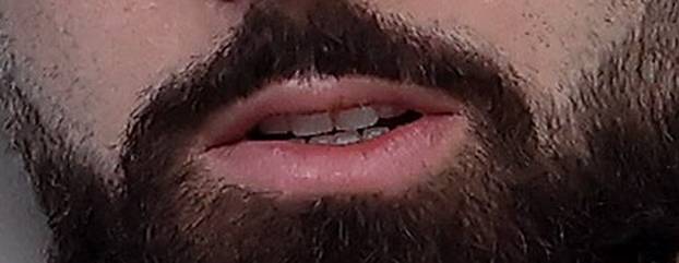 Podstrana: Okupljanje hrvatske nogometne reprezentacije uoči utakmica protiv Francuske