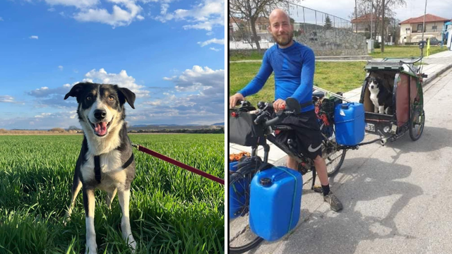 Francuz izgubio psa u Grčkoj, nakon godinu dana pronašao ga je u Srbiji: 'Ne znamo kako'