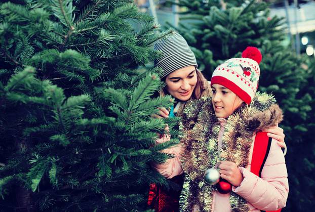 Woman with daughter buying Christmas tree in market