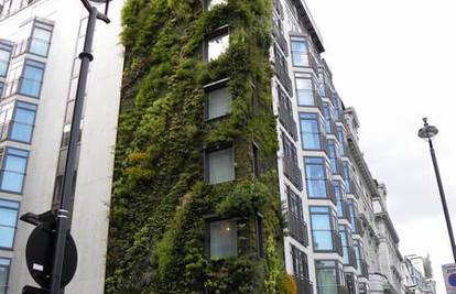 Zeleni vrtovi rastu čak i na krovovima i zidovima