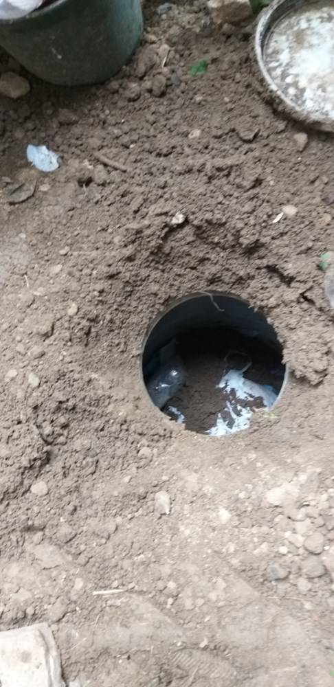 Bila zakopana u dvorištu: Pas pronašao bačvu punu droge