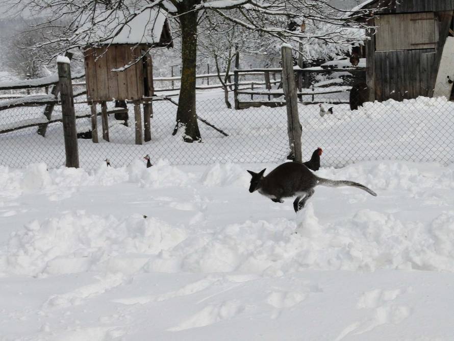 Željko Grgurinović/24sata