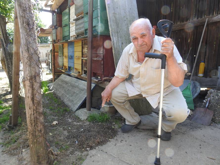 Pomor pčela u Međimurju: 'Oko 60 milijuna ih je umrlo, mislimo da su otrovane insekticidom'