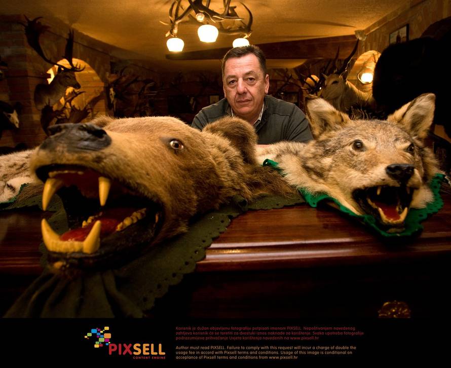 Željko Hladika/PIXSELL