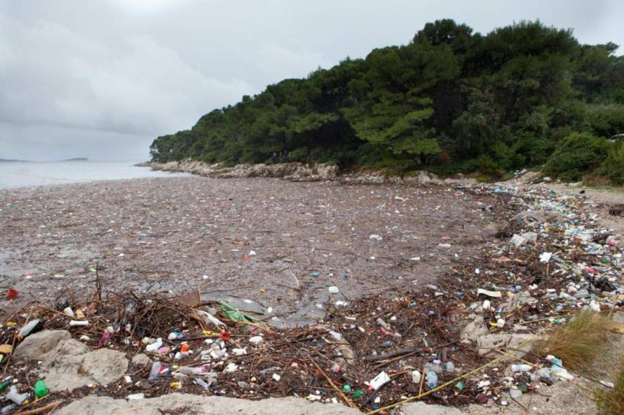 Grgo Jelavić/PIXSELL