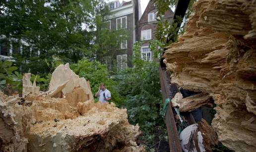 Amsterdam: Srušilo se drvo utjehe Anne Frank