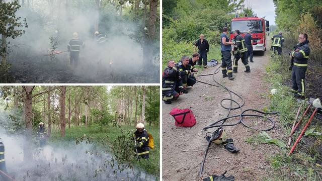 FOTO Nevjerojatno! Netko kod Valpova na 50 mjesta zapalio šumu. Policija lovi piromana?