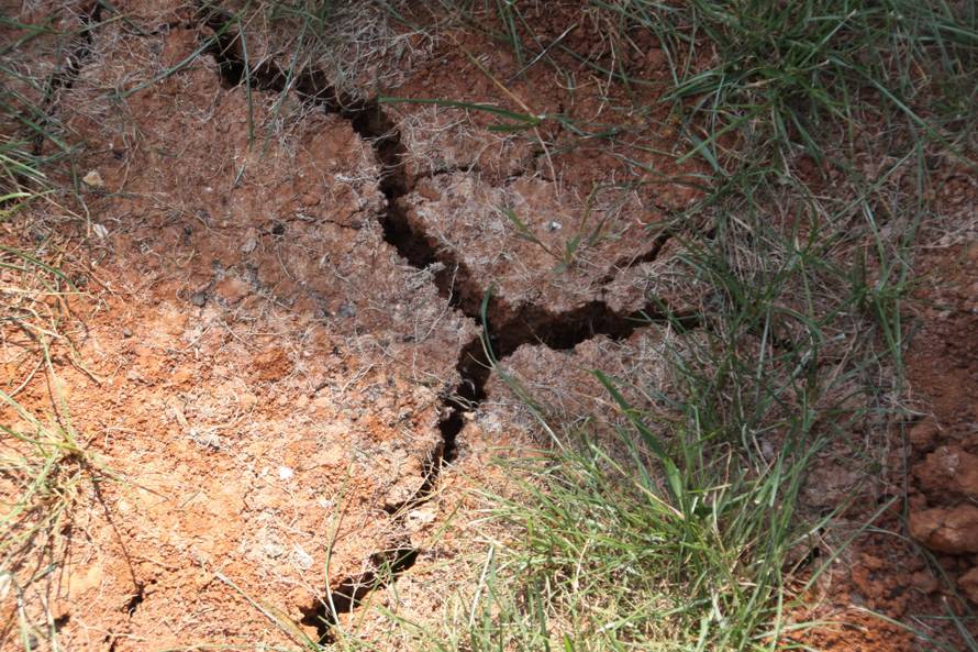 Pula: Zbog velikih suša puca zemlja