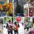 Cvjećar uljepšava New York kad želi i nitko ga ne prijavljuje