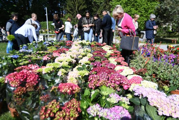 Daruvar: Sajam cvijeća, bilja i sadnica privukao mnogobrojne posjetitelje