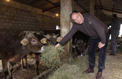 Sve za glasove: Kajin mazio krave pa morao čistiti cipele