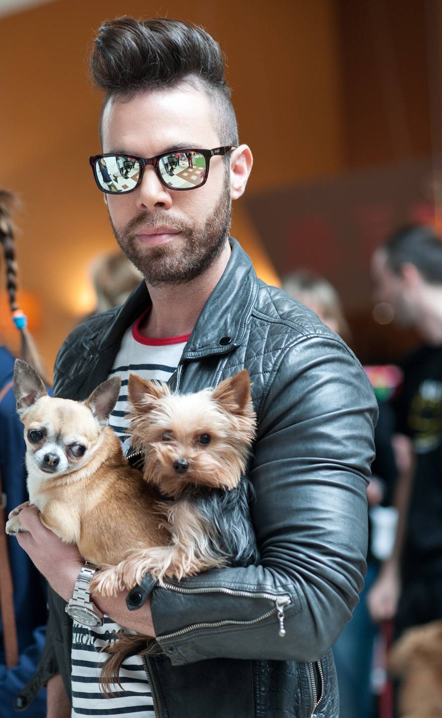 Udomljavanje pasa - akcija