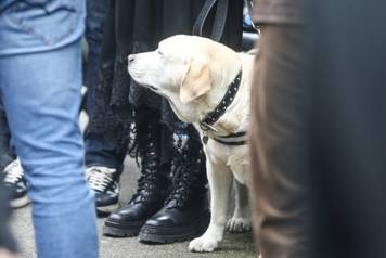 The legendary basketball coach, Dusko Vujosevic, was buried in the Alley of Meritorious Citizens at the New Cemetery.Legendarni kosarkaski trener, Dusko Vujosevic sahranjen je u Aleji zasluznih gradjana na Novom groblju.