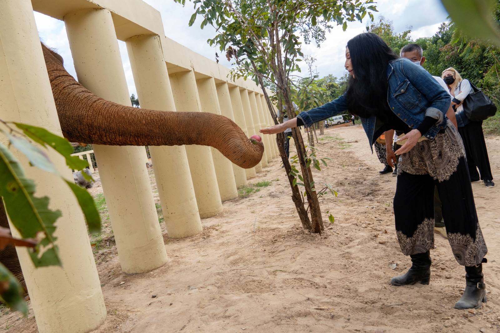 Singer Cher interacts with Kaavan, an elephant transported from Pakistan to Cambodia, at the sanctuary in Oddar Meanchey Province