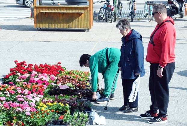 Sisak: Subotnja ponuda cvijećana tržnici
