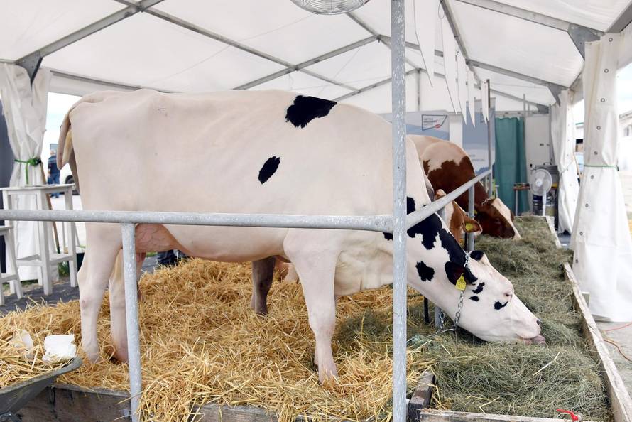 Gudovac: 32. izdanje međunarodnog jesenskog sajma