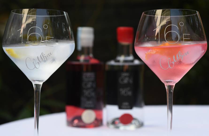 Juričan s frendom proizvodi gin: Bit će dugovječan kao Manolić!