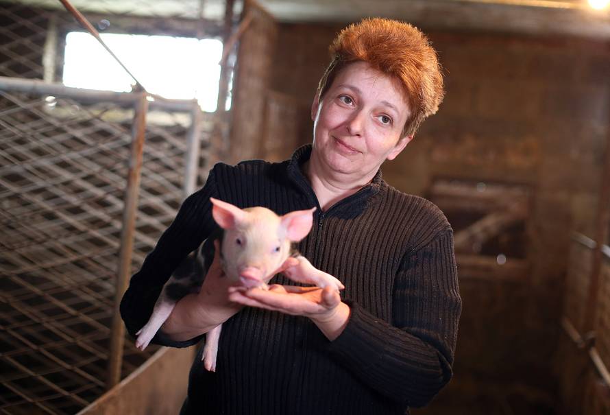 Praščić dvospolac: Zovem se Vanja jer sam i muško i žensko