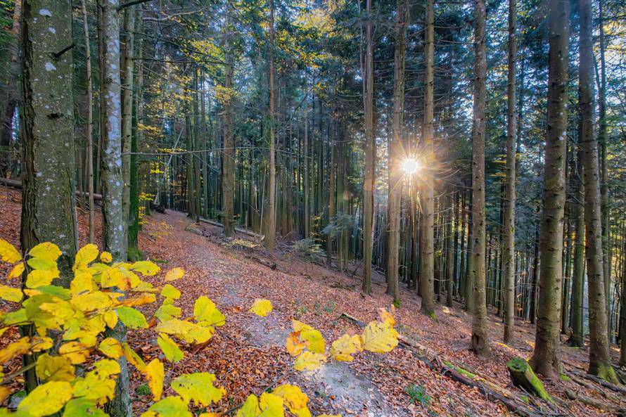 Jesenski izlet u jednu od najzelenijih destinacija Hrvatske: Vrata Papuka