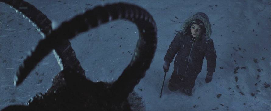 Blitz Film i Video distribucija