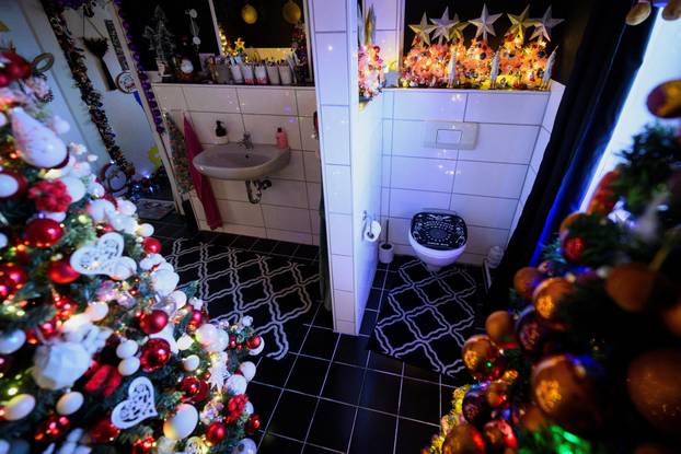 A family breaks their own world record for the most Christmas trees in their home