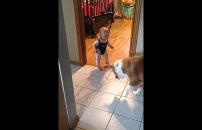 Kad se male 'ruke' slože: Pas uči bebu kako pravilno skakati