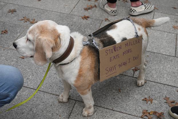 Demonstrators gather during a 'No Kings' protest against U.S.President Donald Trump's policies in London