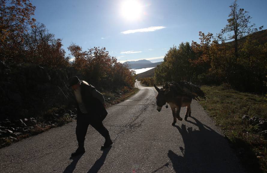 Posljednji pastiri: Ma nema nama do koza, brda i mlijeka
