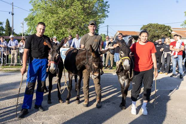 Pula: Održana je tradicionalna 55. Trka na tovari