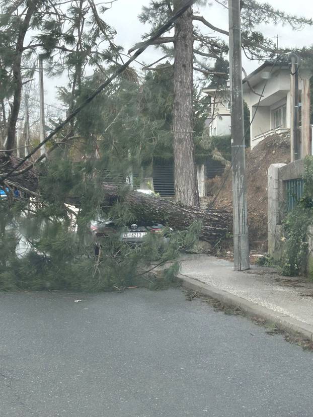 320 SLIKA ZIMSKOG KAOSA Orkanski vjetrovi, mećava i velike poplave pogodile zemlju