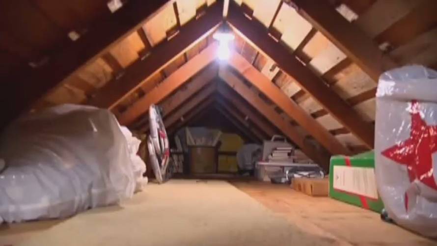 Nekima na tavanu žive šišmiši, a na njegovom  nepoznata žena