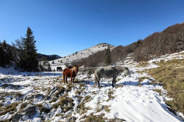 Na današnji dan 1999. proglašen je hrvatski nacionalni park Sjeverni Velebit