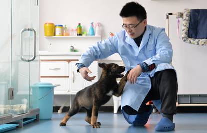 Kinezi su klonirali psa tragača: Otkrivat će drogu i krijumčare