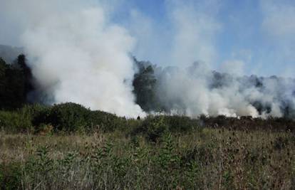 Vatrogasci su morali gasiti požar  trave pokraj Ivanje Reke