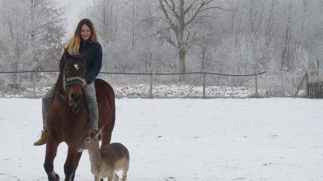 Ljubav je pokraj Požege:  Pipo, Zeus i Sila su najbolji prijatelji