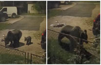Medvjedica i mladunče spustili se do kuća u Korenici. Susjedi: Kopala je smeće, a mali je trčao