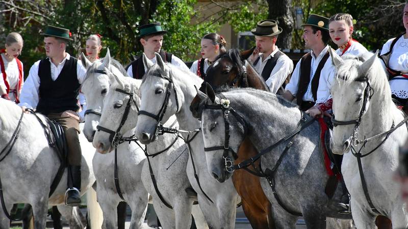 Velika Kopanica oživjela tradiciju: Više od 100 konjanika okupilo se na Uskrsnom jahanju