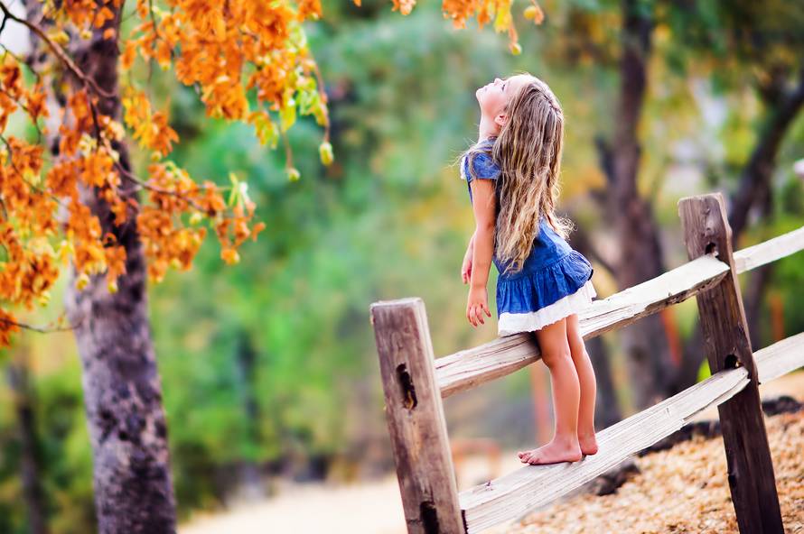 Keltski horoskop: Otkrijte koje ste drvo i što to govori o vama