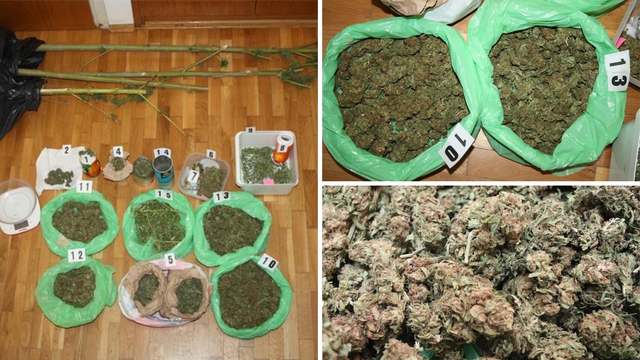 Muškarac (57) sadio i sušio marihuanu u Opuzenu pa je prodavao  po dolini Neretve