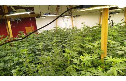 FOTO Policija na području Liburnije otkrila labortaorij za travu: Pronašli i novac, vage...