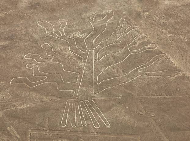 Tree geoglyph, Nazca mysterious lines and geoglyphs