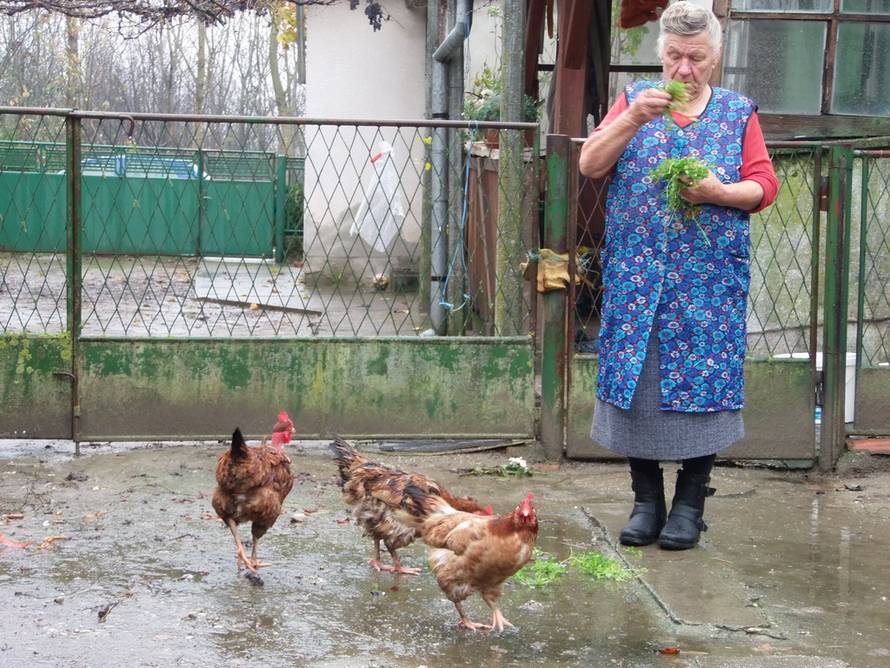 Zinka Čižmešija/24sata