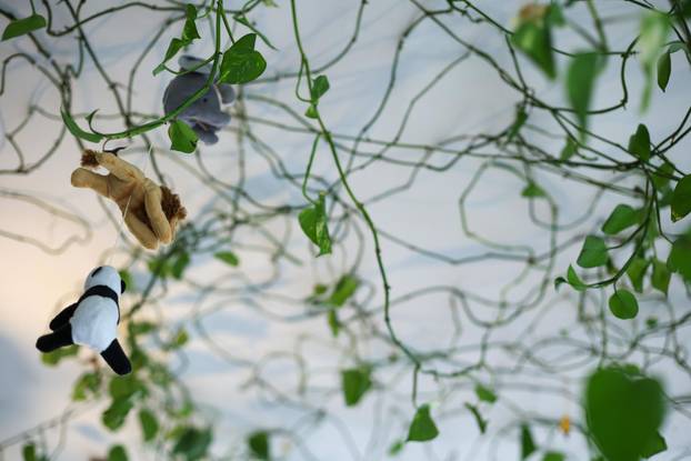 Zagreb: Emilija i Amer Alaydi otvorili su kafić Animal caffe