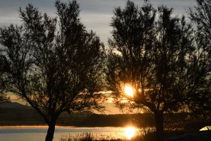 Bajkovito jesensko jutro u Parku prirode Vransko jezero