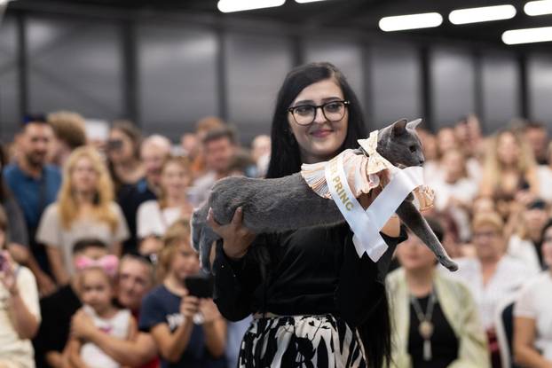 FOTO Velika izložba mačaka u Zagrebu: Predstavljene i jedinstvene modne kreacije