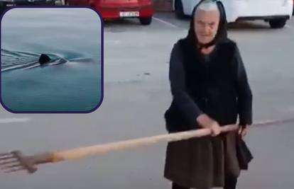 Baka je uzela osti od tri metra i 'ubola' hobotnicu: 'U blizini je bio i morski pas, nije odustajao'
