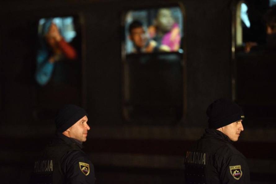 Vjeran Zganec Rogulja/PIXSELL