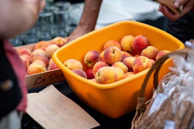 Zagreb: Mali piknik privukao je veliki broj građana 
