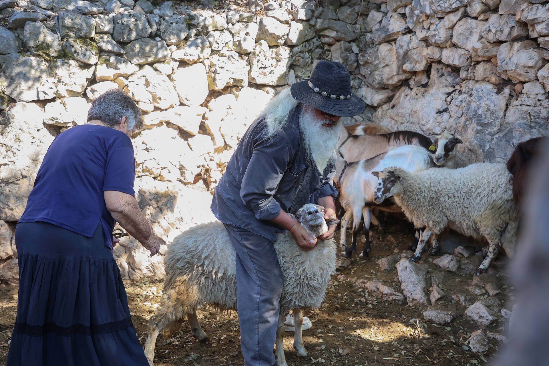 Baka Mara (77): Po starinski ovcu ošišam za nekoliko minuta